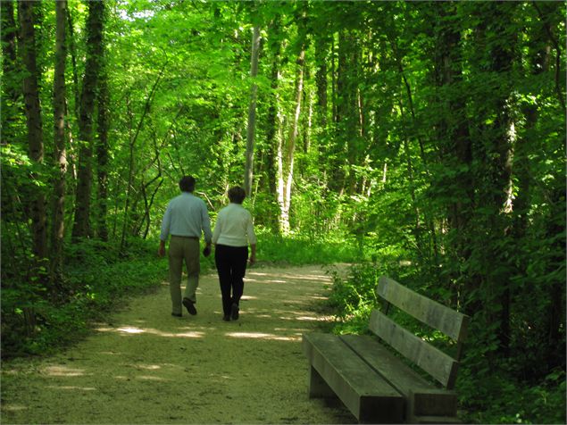 Entrée sur le site - phhauuy