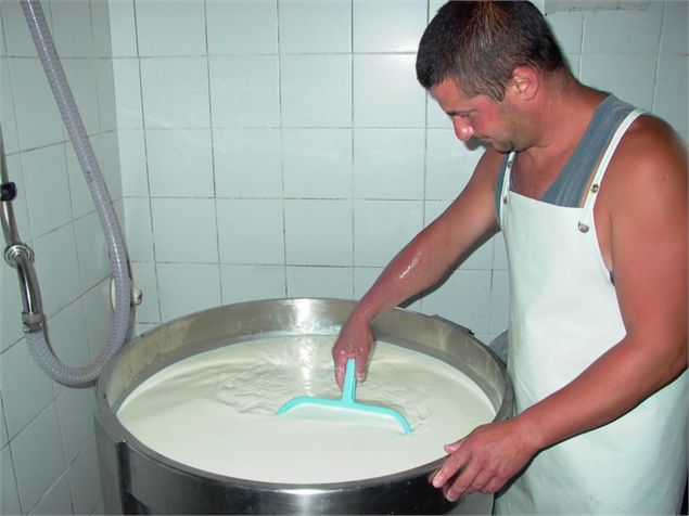 Décaillage cuve fromagerie - GAEC Vent des Cimes