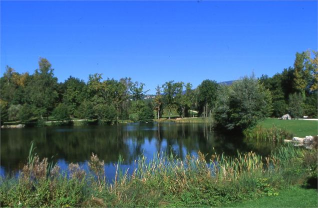 Etang de Cessy - Mairie de Cessy