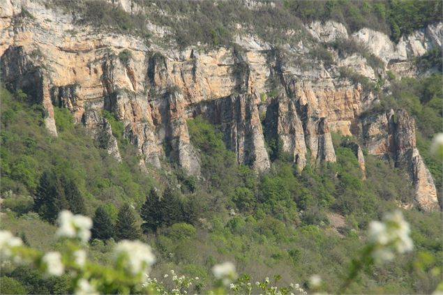 Demoiselles de Villebois - Département de l'Ain / M. Léorier