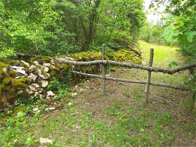 Sur le chemin des carriers de Villebois - Département de l'Ain / M. Léorier