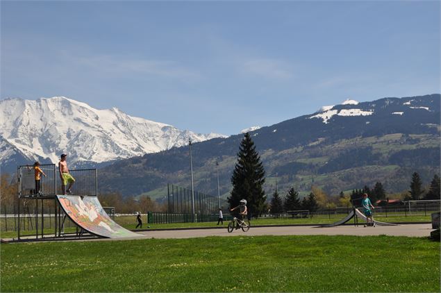 Skate Parc - David Machet