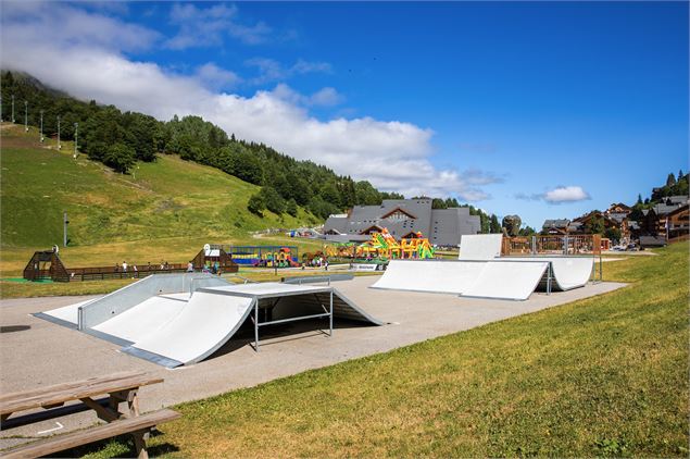 Skate Park - La Chaudanne - ©Sylvain Aymoz