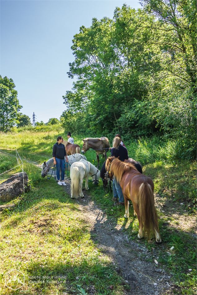 Poney club de Modane au camping des Combes - Haute Maurienne Vanoise Tourisme