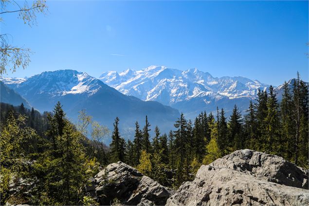 Lac vert -vue mont blanc - OT Vallée de Chamonix - Salomé ABRIAL