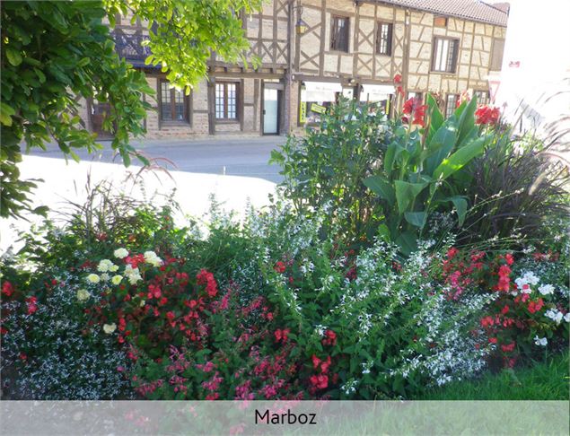 Village fleuri, Marboz, Route fleurie de la Haute-Bresse - Route fleurie de la Haute Bresse