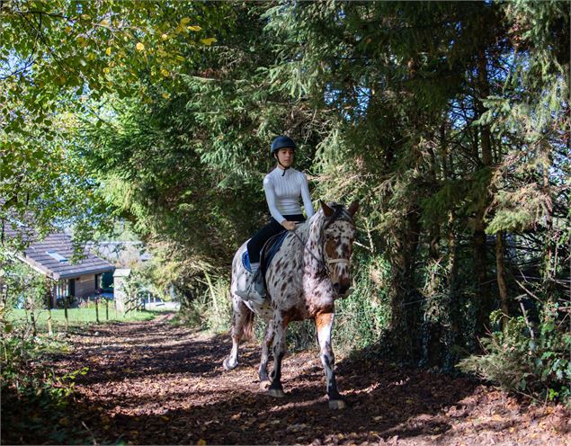 Balade à cheval Ecurie de Chevaline - Rémi Portier