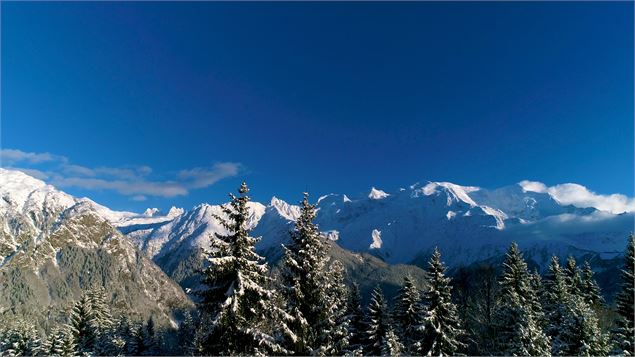Vue Mont Blanc depuis Plaine Joux - Godefroy de Maupeou
