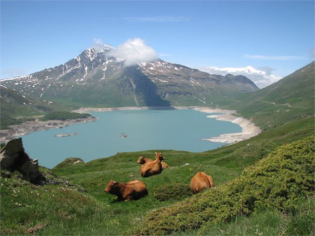 Le lac du Mont-Cenis - OT Haute-Maurienne-Vanoise