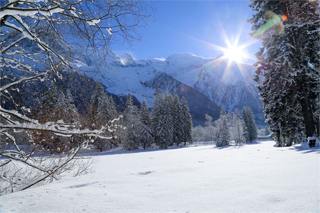 Lac en hiver - OT Vallée de Chamonix-Mont-Blanc