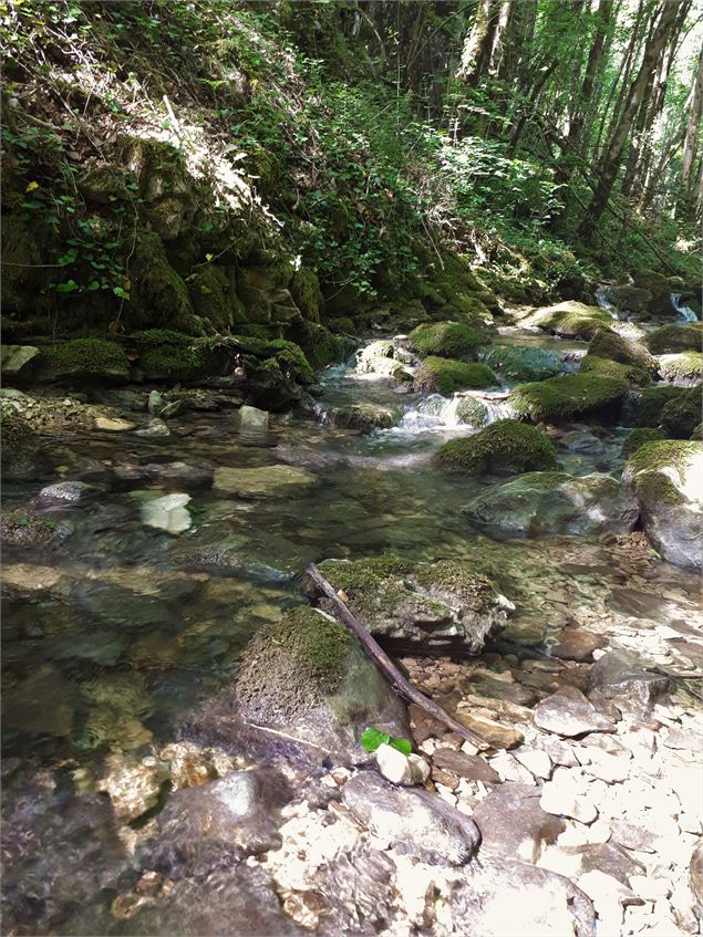 ruisseau randonnée de la cascade de Luizet - Sabrina Megani