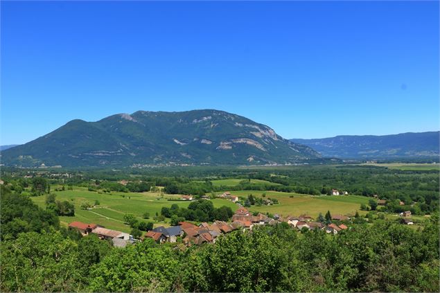 Panorama au dessus du village de Vongnes - Office de tourisme Bugey Sud Grand Colombier