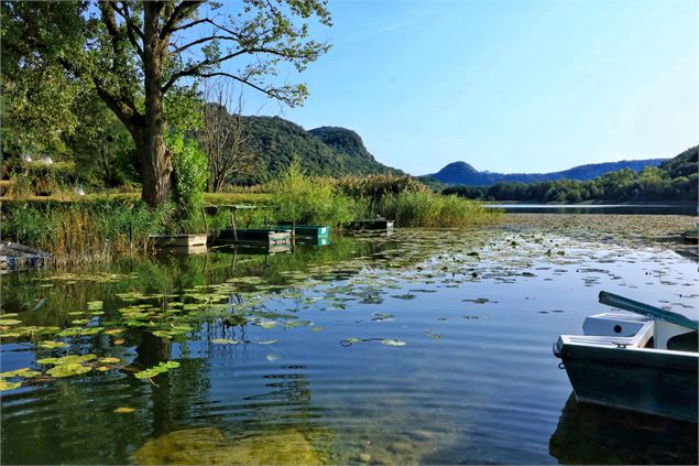 Lac de Barterand - Office de tourisme Bugey Sud Grand Colombier