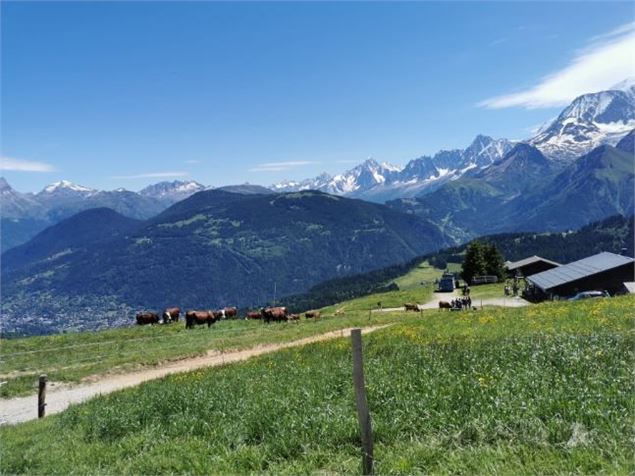 Alpage la Grand Montaz - Alpage la Grand Montaz