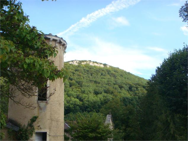 Château de Rosy