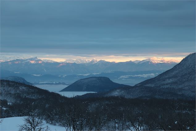 vue sur les Alpes depuis Innimond - Marilou Perino