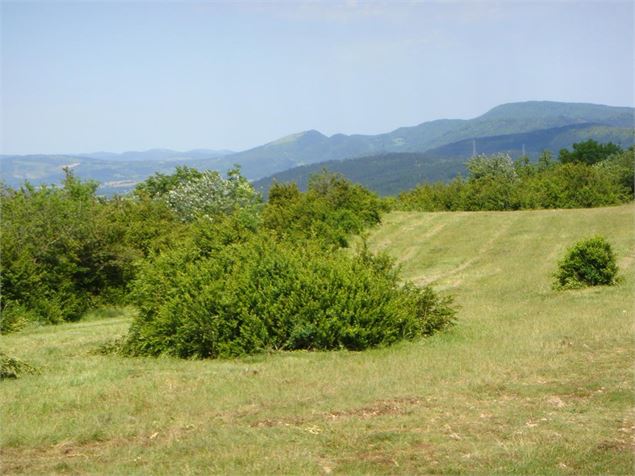 Plateau des Conches - Sébastien Calland