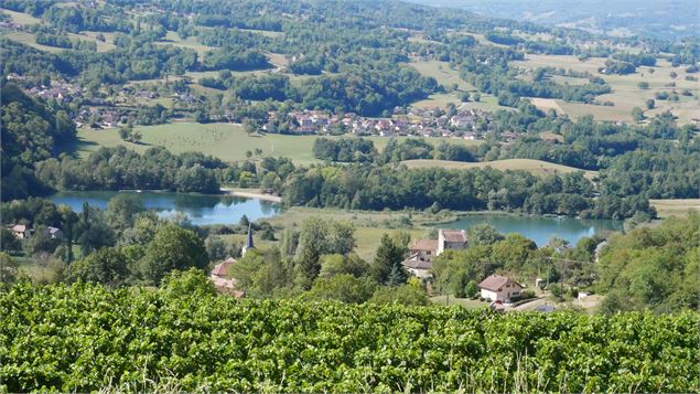 Vigne et lacs de Saint-Jean-de-Chevelu - Henri De Caevel