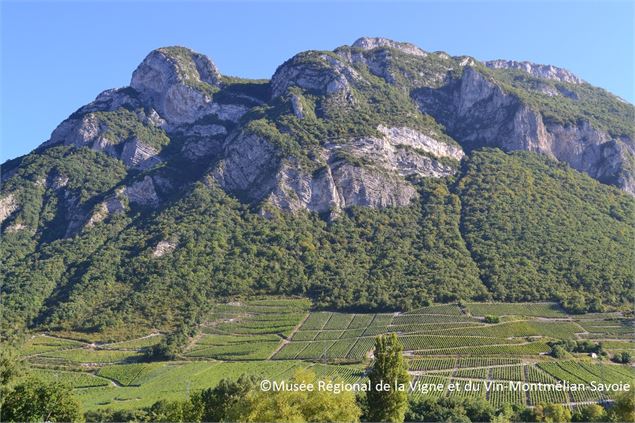 La Savoyarde - Geosite - Geopark des Bauges - Musée Régional de la Vigne et du Vin-Montmélian-Savoie