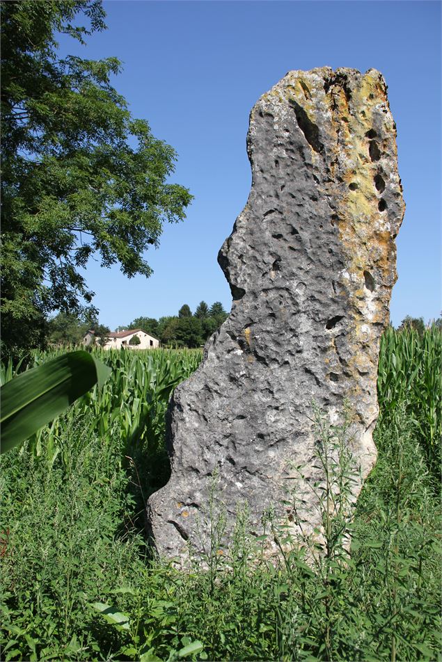Menhir de Pierre Fiche - Simandre-sur-Suran - S.Calland