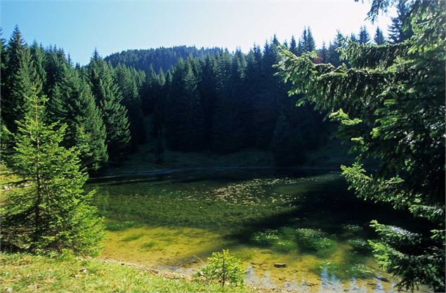 Le lac du Fouyet dans son écrin de verdure - Yvan Tisseyre/OT Vallée d'Aulps