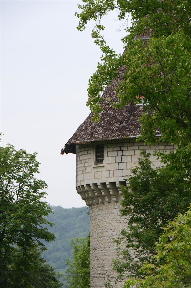 Tour du château de La Cueille - Carine Monfray