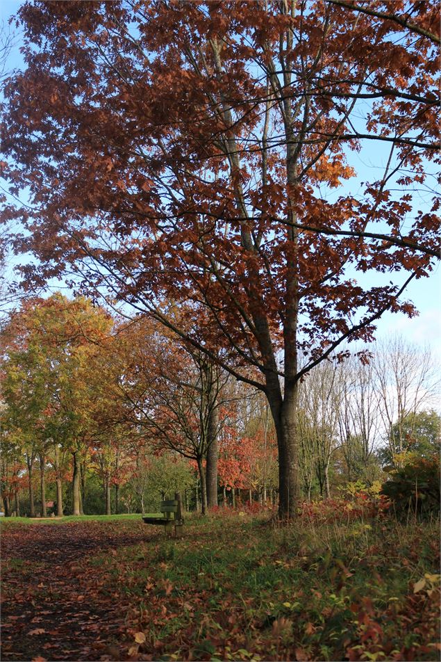 Arboretum de Chatillon-sur-Chalaronne - Dombes Tourisme