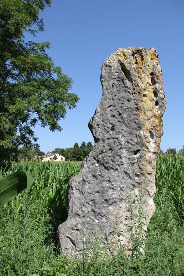 Menhir de Pierre Fiche - Simandre/Suran