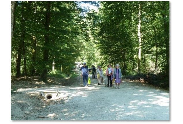 Espace pédagogique forestier de Seillon - ©pas sage d'Images