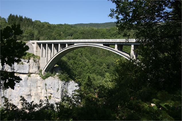 Le Pont des Pierres - M. Jacques