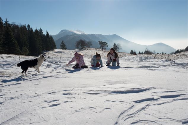 Enfants jouant sur la neige avec un chien - Erwan LAPORTE