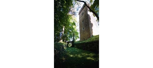 Château de Coligny-le-Viel : château du Châtaignat et sa tour de Menthon