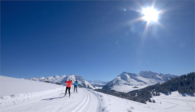 Skieurs de fond parcourant le plateau de Beauregard au soleil - Greg Dieu