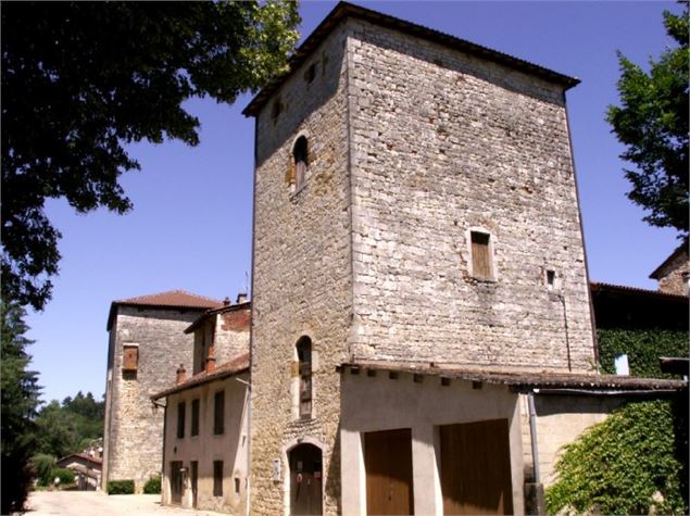 Château de Meillonnas