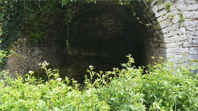 Lavoir et resurgence de Châteauvieux