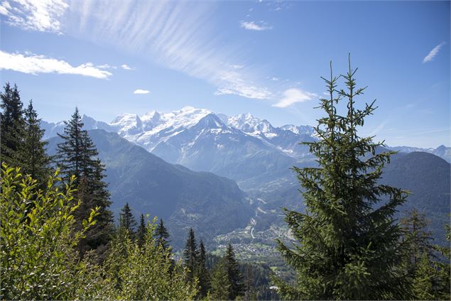 Vue Mont Blanc - Julien Heuret