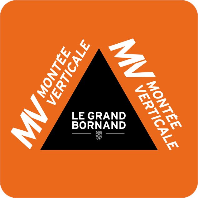 logo montée verticale - T. Vattard