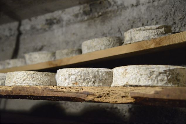 L'été, visite de ferme d'alpage 