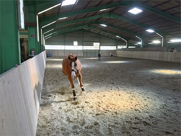 Manège à cheval - Les écuries de Veigy