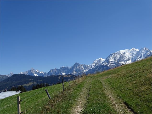 Chaine du Mont-Blanc - M. Mautué