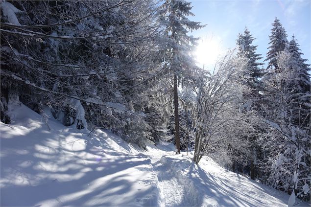 Plateau d'Agy - CAMT