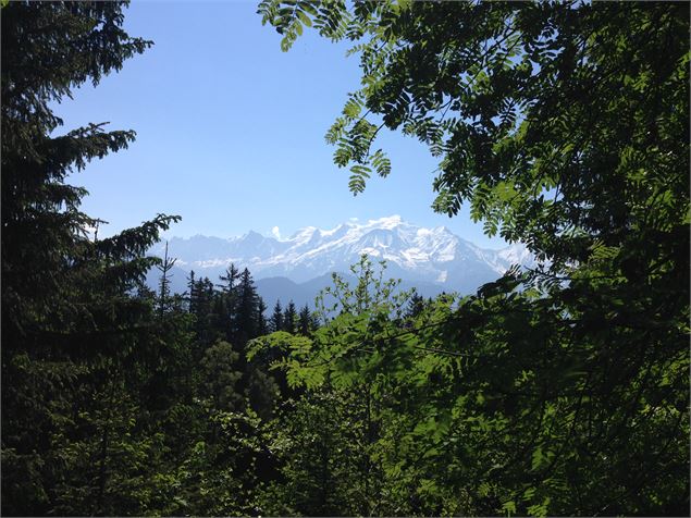 le massif du Mont-Blanc