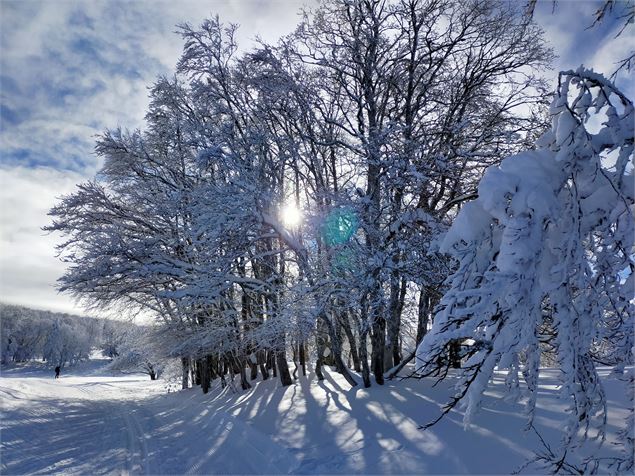 Piste de ski Plateau de Retord - ©C.Frei - Terre Valserine