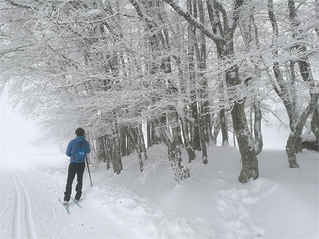 Ski de fond sur le Plateau de Retord au départ de Cuvéry - ©C.Frei - Terre Valserine