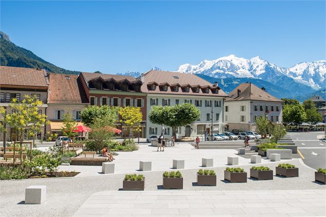 Vue Mont-Blanc de la place Saint-Jacques - Studio K