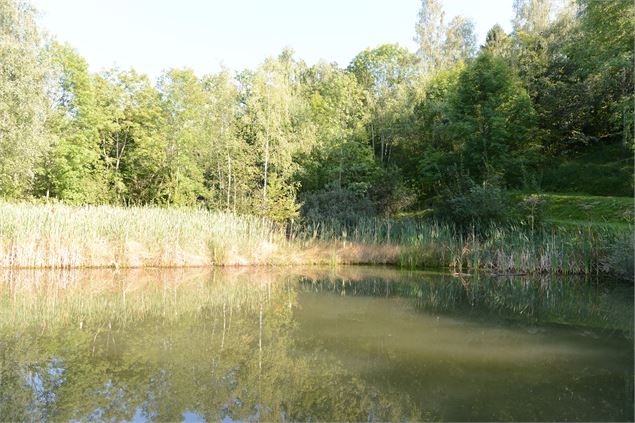 étang du parc de Neuvecelle - Mairie de Neuvecelle