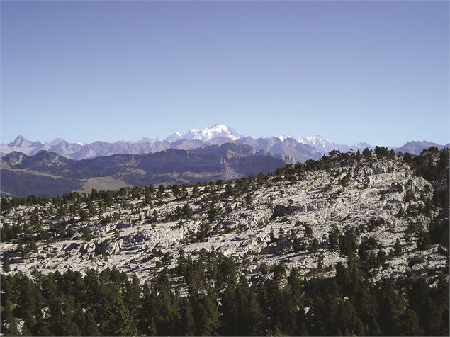 Plateau du Parmelan - G.Blin