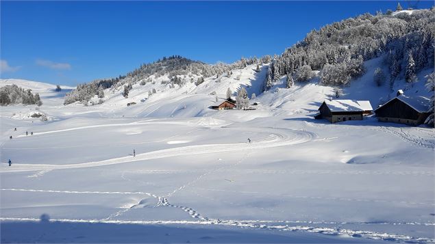 Boucle de la piste verte sur le Plateau de Plaine Joux, au milieu des chalets d'alpage - Maison des 