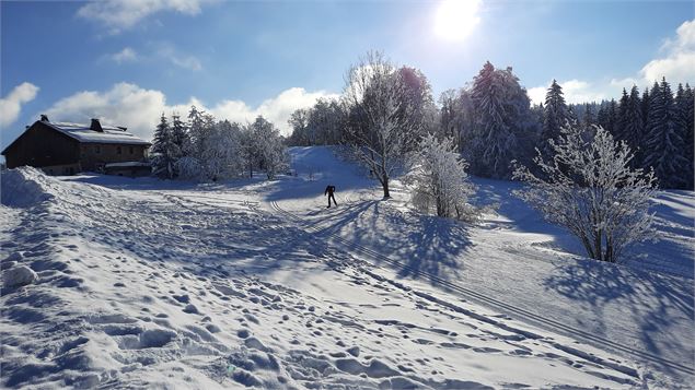 Skieur skating, dans une cote de la piste verte - Plaine Joux, les Brasses - Maison des Brasses