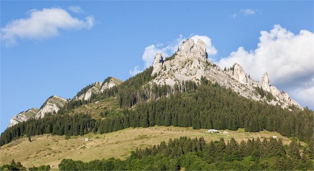 Vue sur le Mont César - OTPEVA